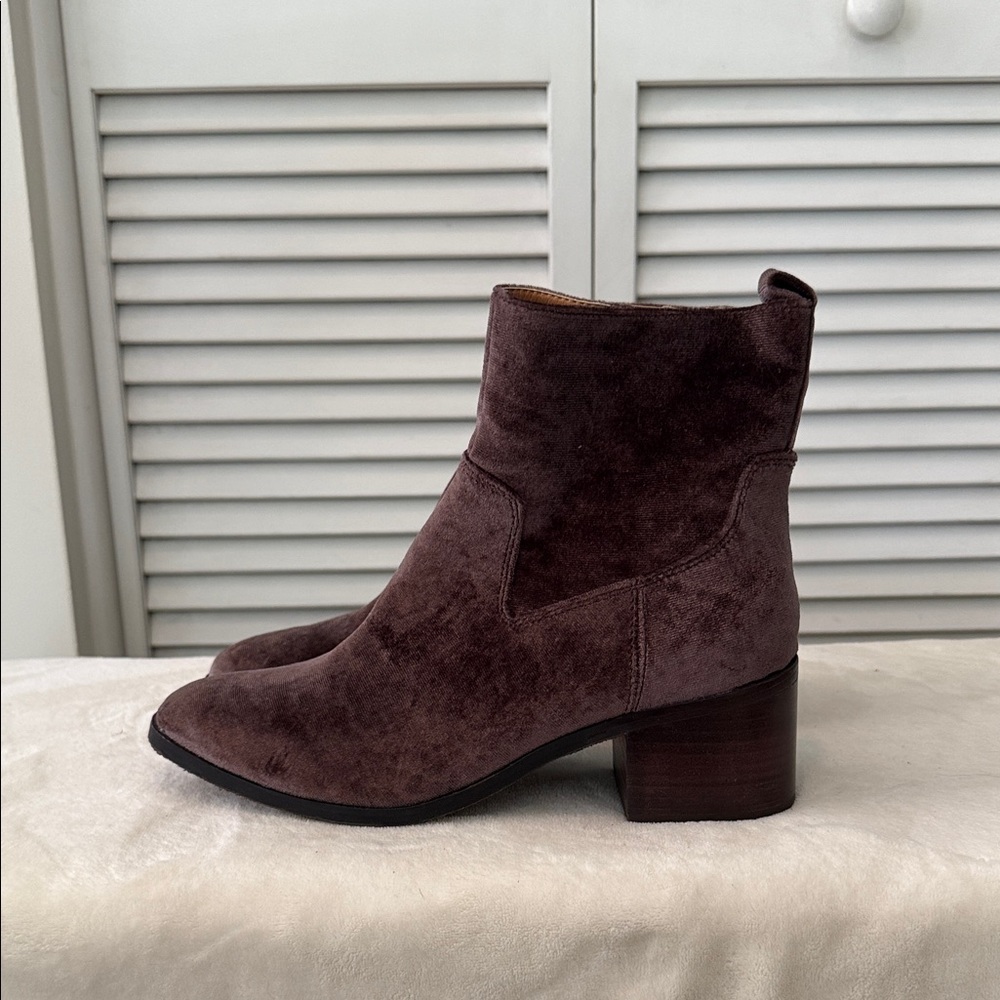 Latigo Velvet Ankle Boots - Picture 4 of 8